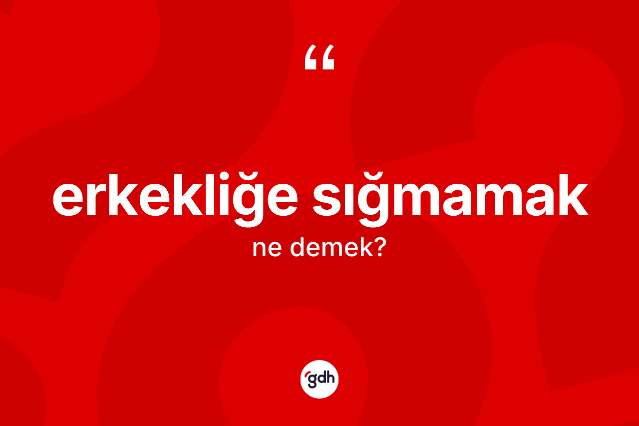 Erkekliğe sığmamak ifadesinin sözlükteki anlamı nedir?