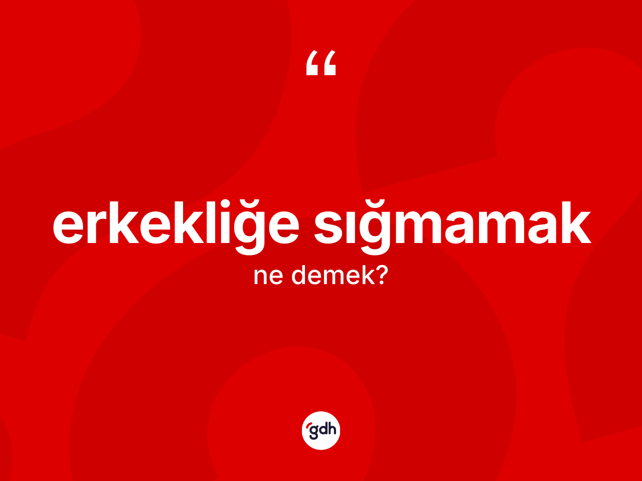 Erkekliğe sığmamak ifadesinin sözlükteki anlamı nedir? Erkekliğe sığmamak ifadesinin özellikleri nelerdir?