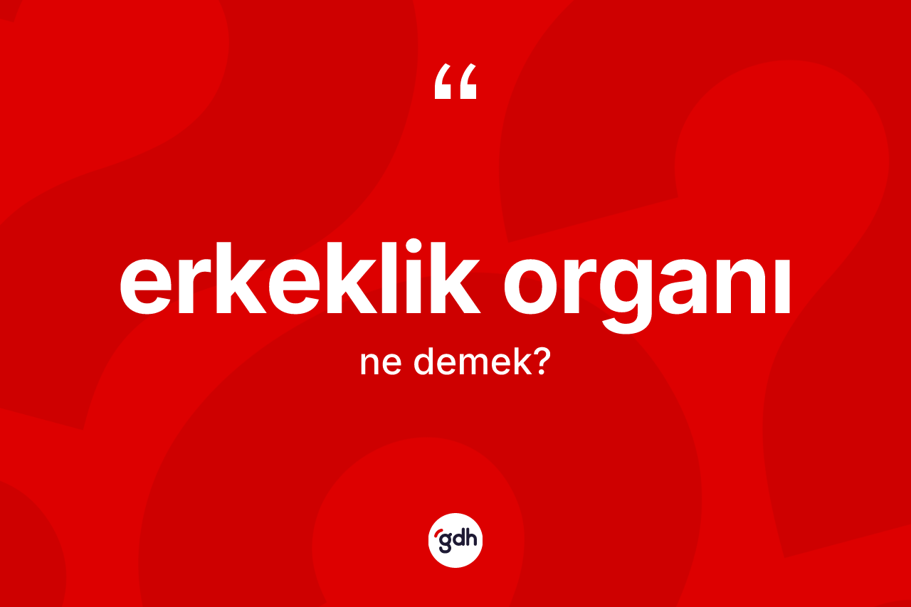 Erkeklik organı nedir? Erkeklik organının sözlükteki anlamı nedir?