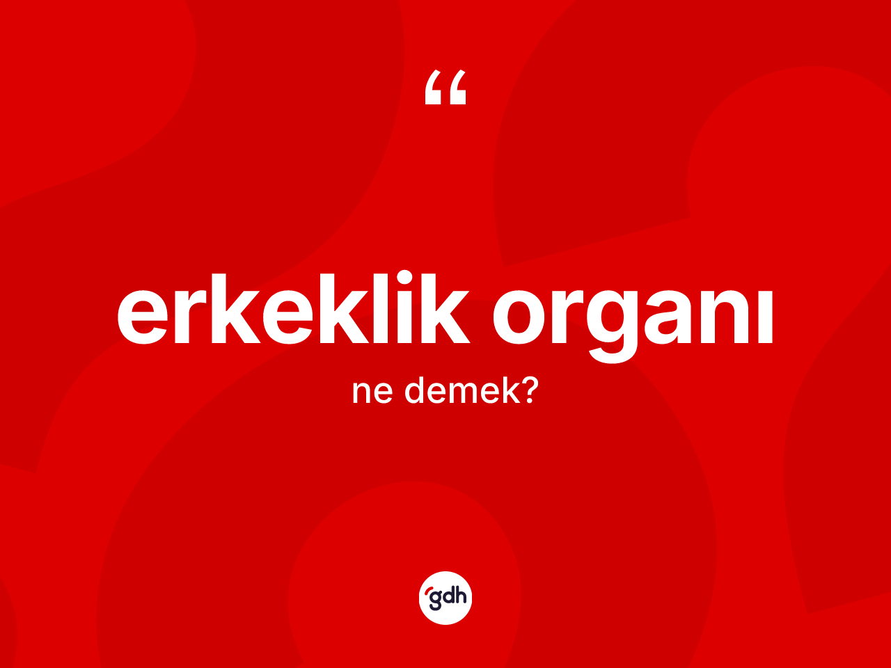 Erkeklik organı nedir? Erkeklik organının sözlükteki anlamı nedir?