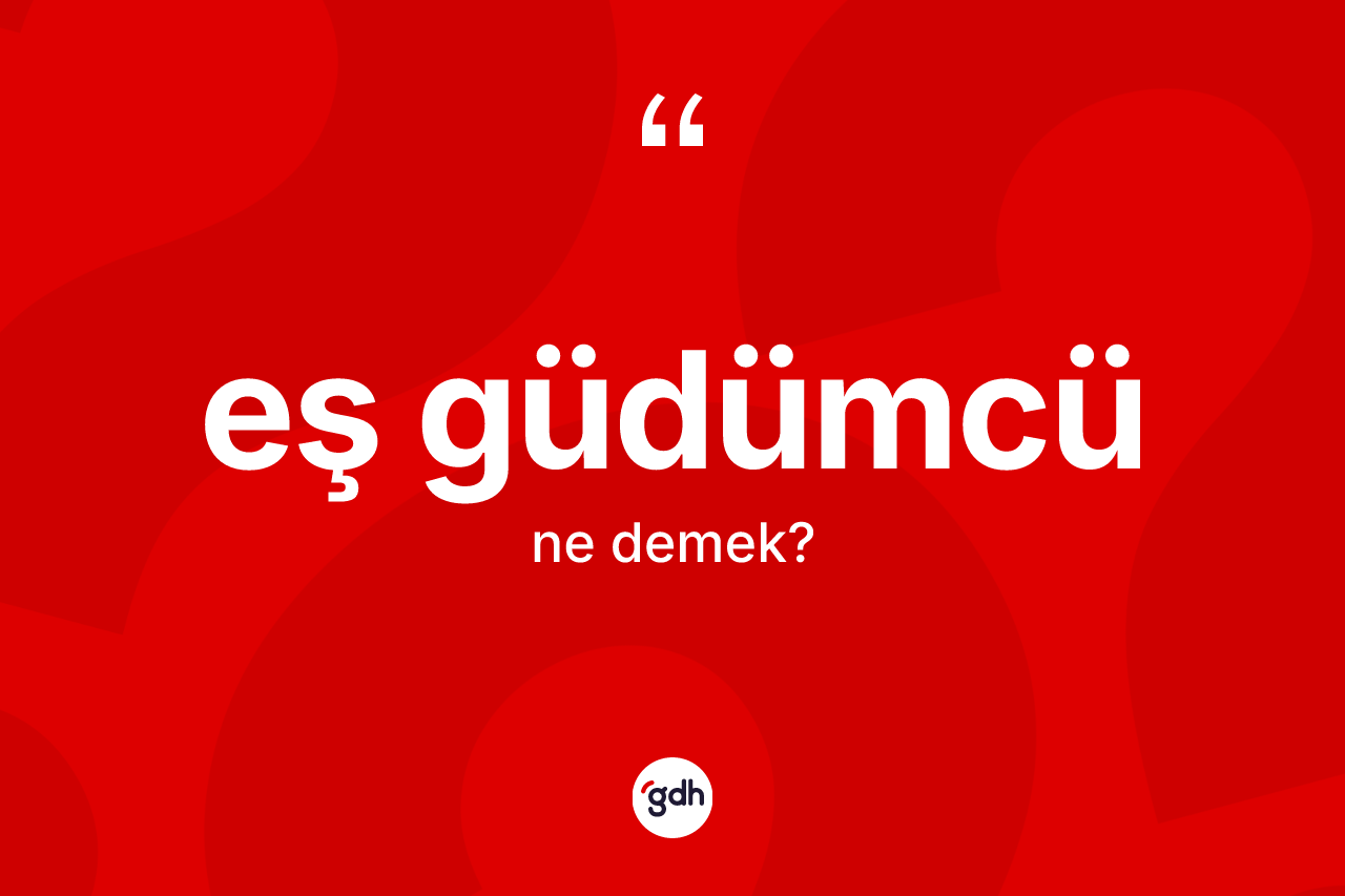 Eş güdümcü kelimesi ne anlama gelir? Eş güdümcü kelimesinin TDK'ya göre açıklaması nedir?