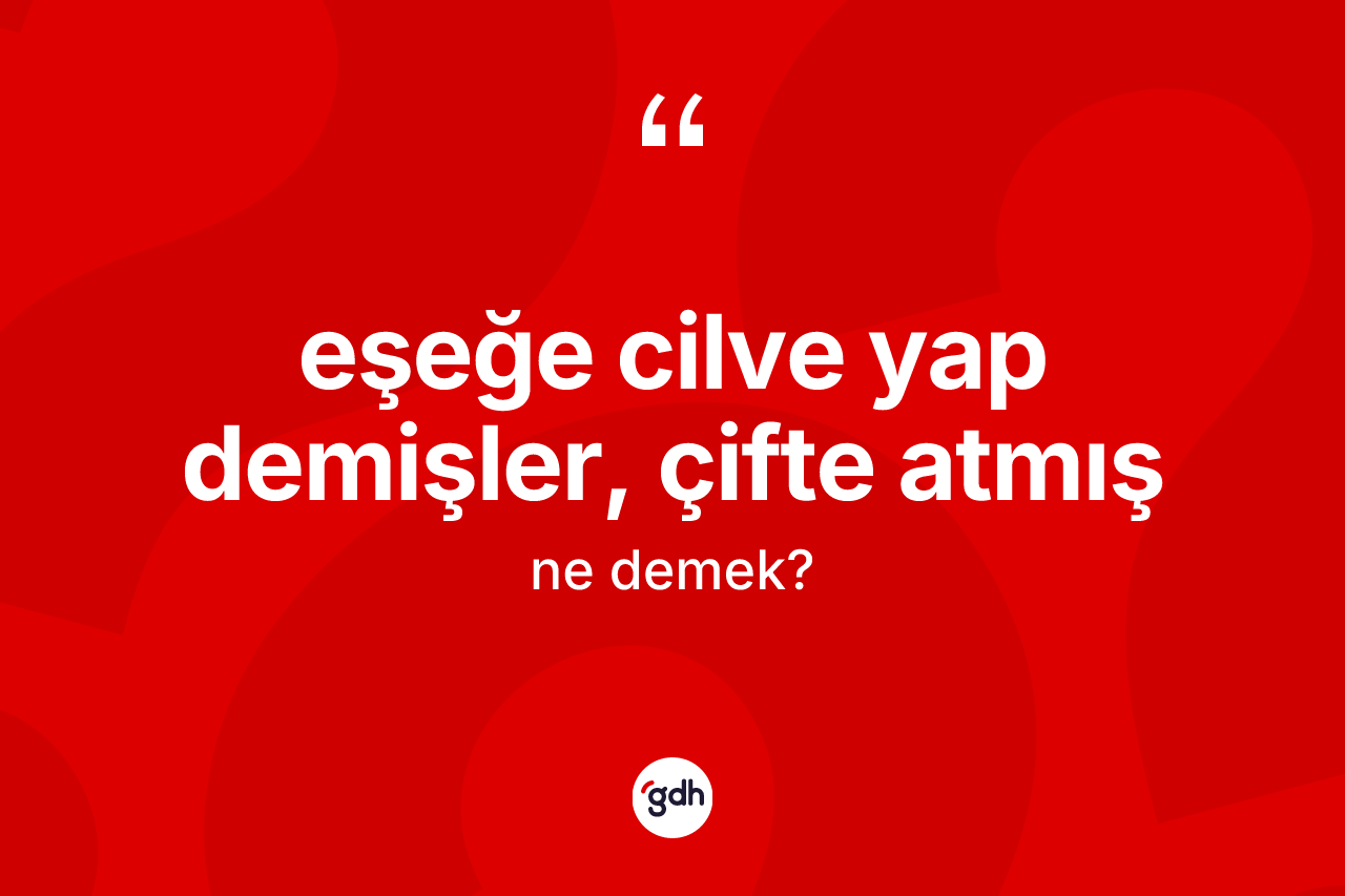 Eşeğe cilve yap demişler, çifte atmış ifadesinin kısaca tanımı nedir? Eşeğe cilve yap demişler, çifte atmış ifadesinin kaç farklı anlamı var?