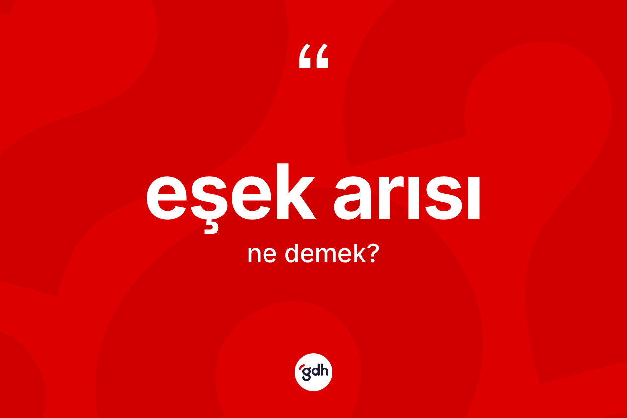 Eşek arısı kelimesinin tanımı nedir? Eşek arısının TDK'ya göre anlamı nedir?
