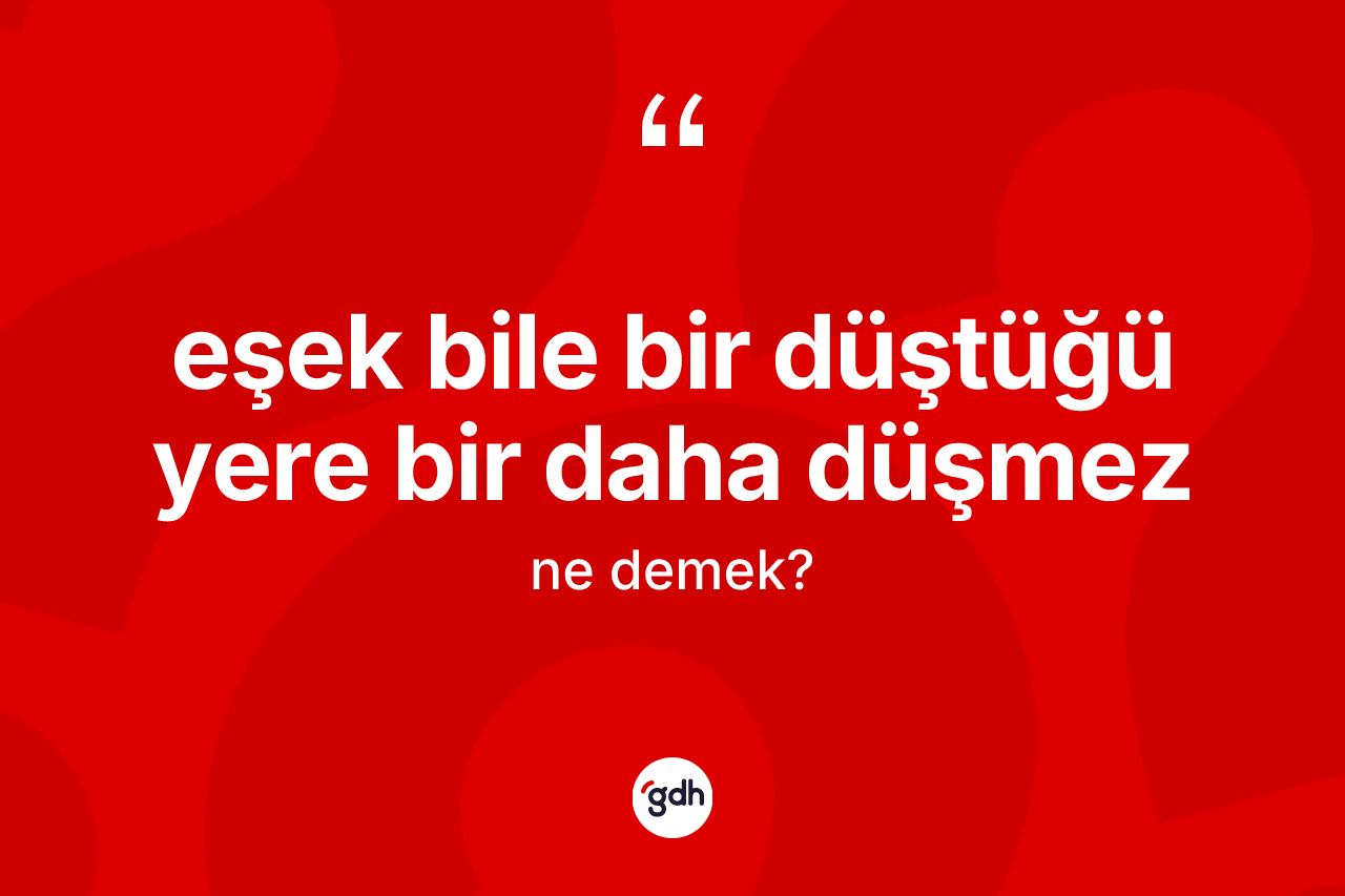 Eşek bile bir düştüğü yere bir daha düşmez ifadesi nedir?