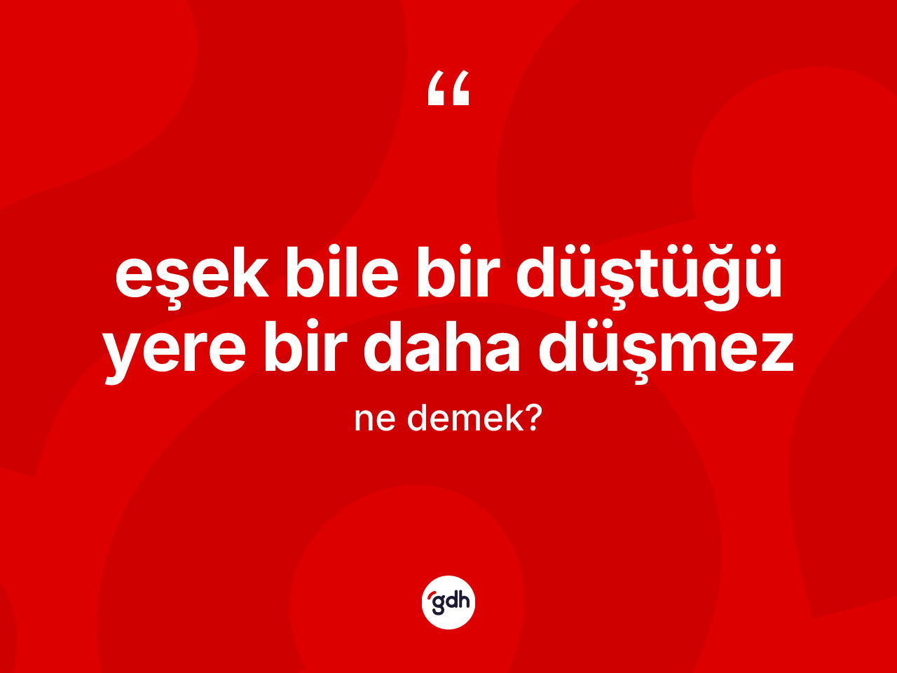 Eşek bile bir düştüğü yere bir daha düşmez ifadesi nedir? Eşek bile bir düştüğü yere bir daha düşmez sözünün TDK anlamı nedir?