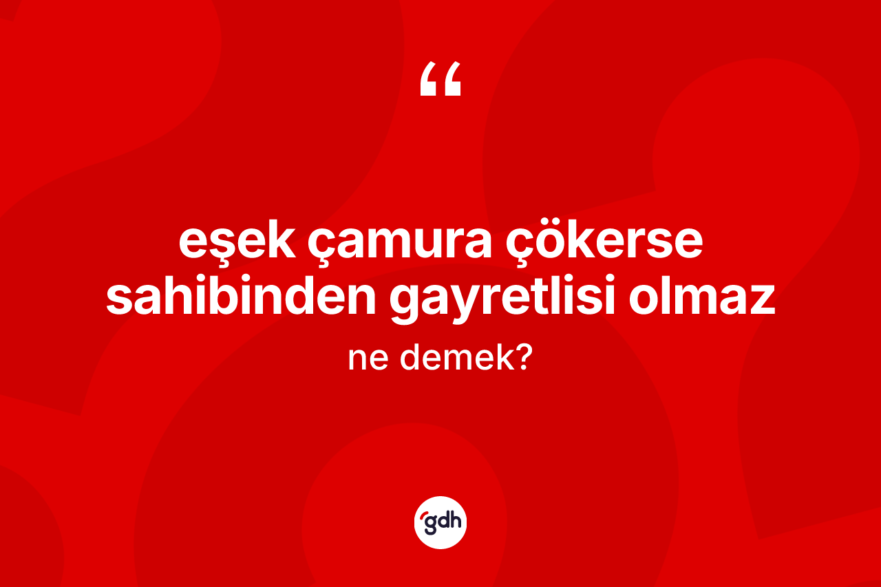 Eşek çamura çökerse sahibinden gayretlisi olmaz nedir? Eşek çamura çökerse sahibinden gayretlisi olmaz sözü hangi durumlarda kullanılır?