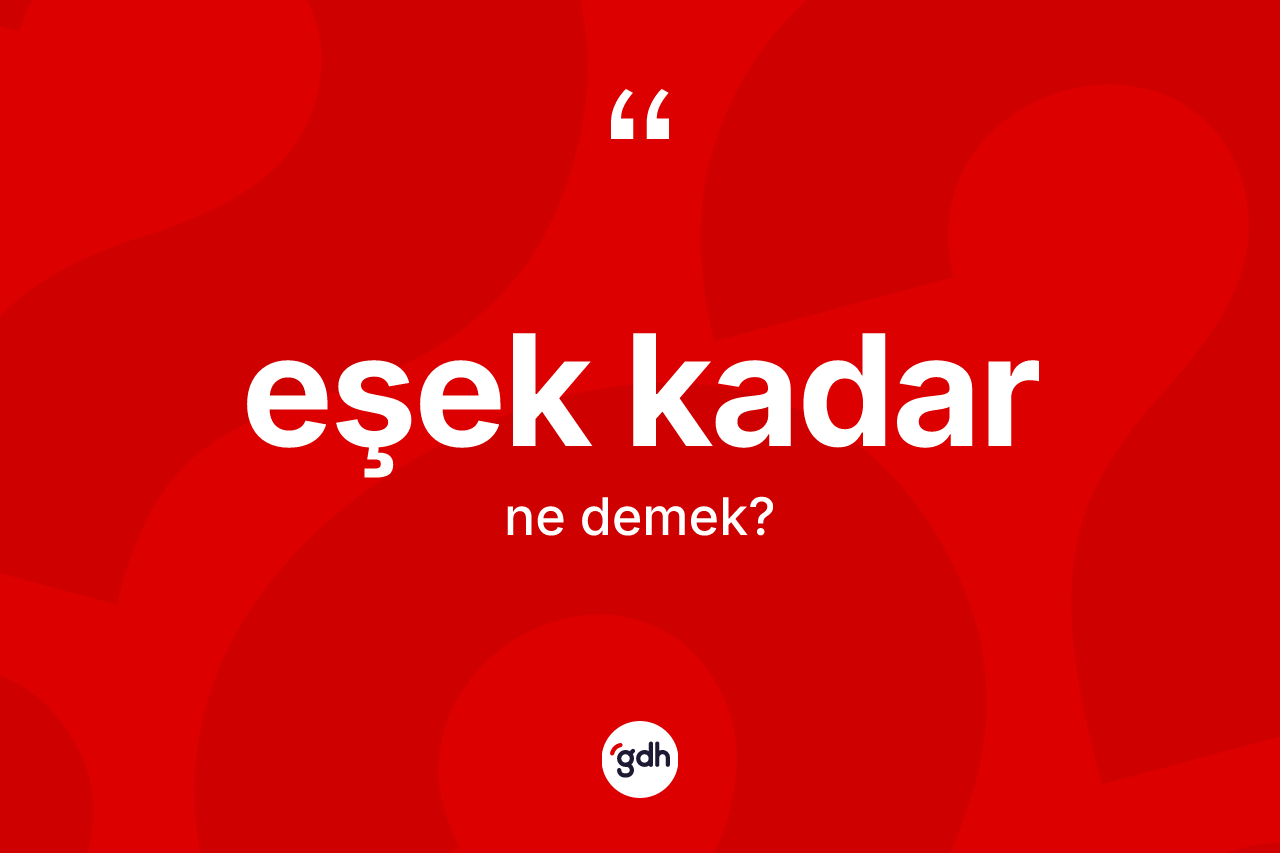 Eşek kadar ne demektir? Eşek kadar ifadesinin TDK'ya göre anlamı nedir?