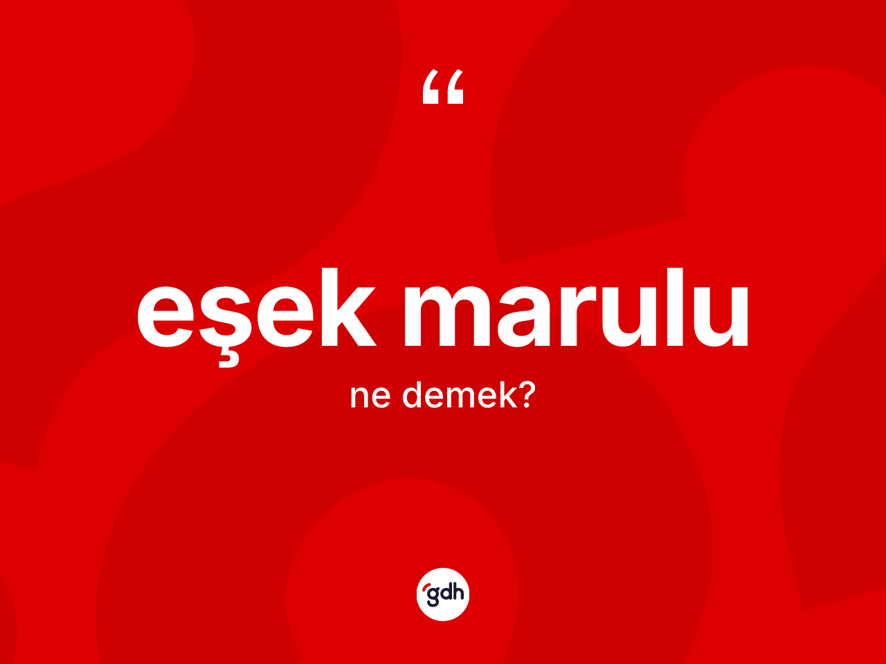 Eşek marulu kelimesinin anlamı nedir? Eşek marulunun TDK'ya göre anlamı nedir?