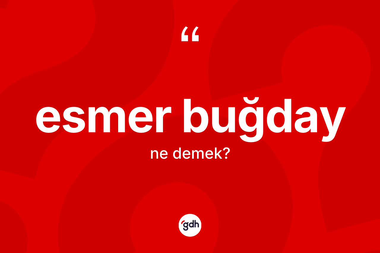 Esmer buğday kelimesinin anlamı nedir? Esmer buğday kelimesinin özellikleri nelerdir?