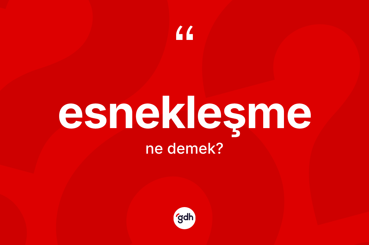 Esnekleşme kelimesinin tanımı nedir? Esnekleşmenin sözlükteki anlamı nedir?