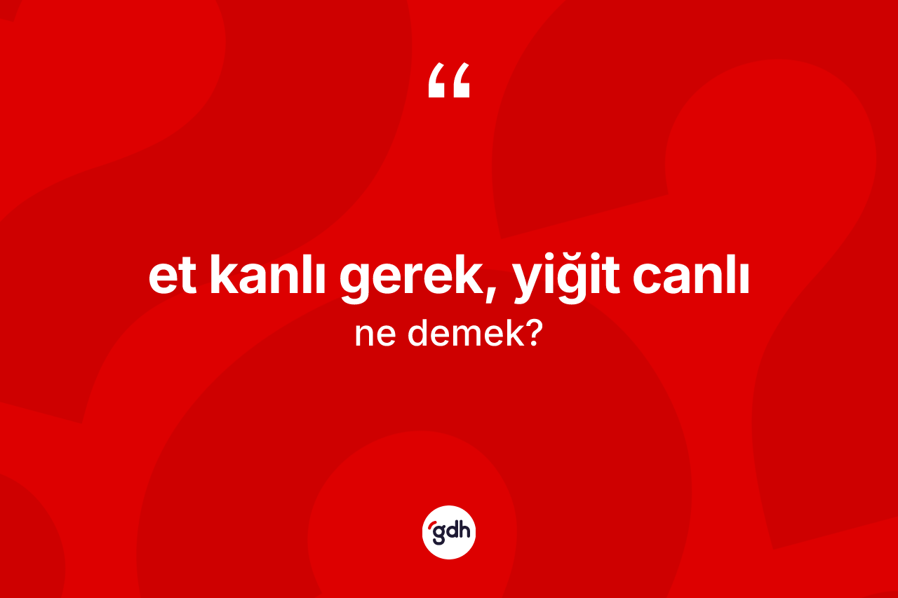 Et kanlı gerek, yiğit canlı ifadesinin sözlükteki anlamı nedir? Et kanlı gerek, yiğit canlı ifadesi hangi durumlarda kullanılır?