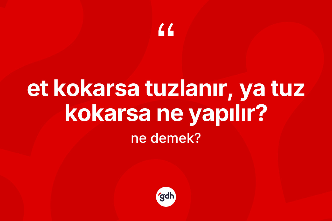 Et kokarsa tuzlanır, ya tuz kokarsa ne yapılır? ifadesinin anlamı nedir? Et kokarsa tuzlanır, ya tuz kokarsa ne yapılır? ifadesi nerede kullanılır?