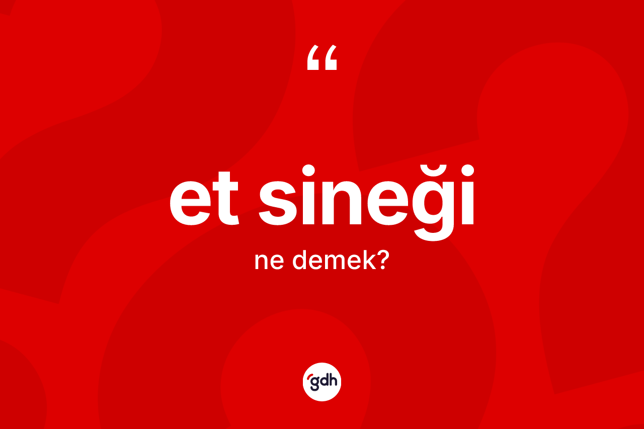 Et sineği kelimesi nedir? Et sineğinin TDK'ya göre anlamı nedir?