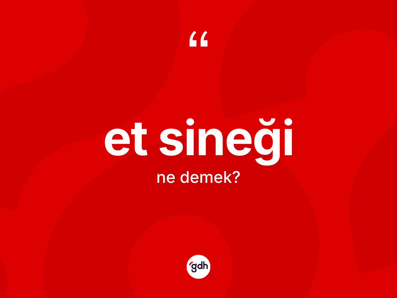 Et sineği kelimesi nedir? Et sineğinin TDK'ya göre anlamı nedir?