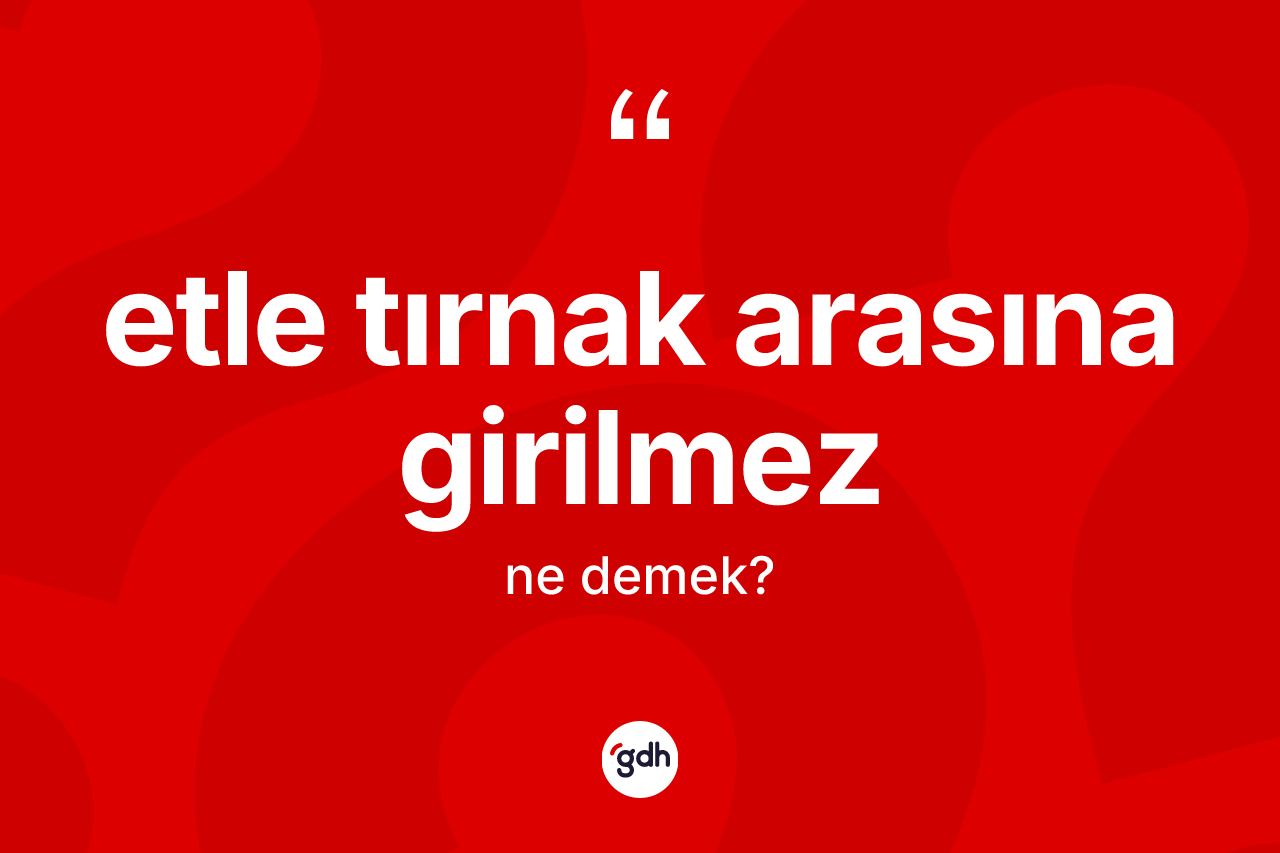 Etle tırnak arasına girilmez ifadesinin tanımı nedir?