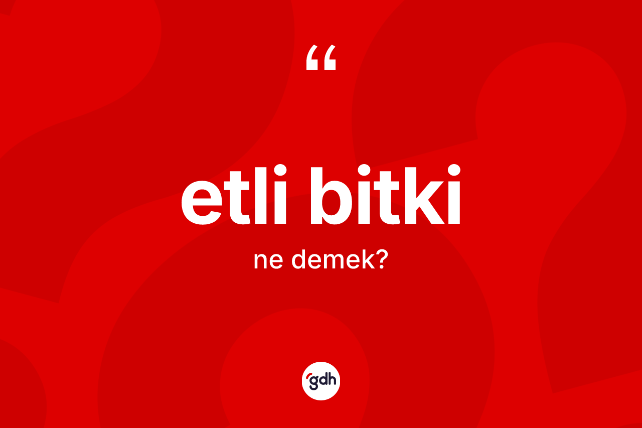 Etli bitki kelimesinin anlamı nedir? Etli bitkinin sözlükteki anlamı nedir?