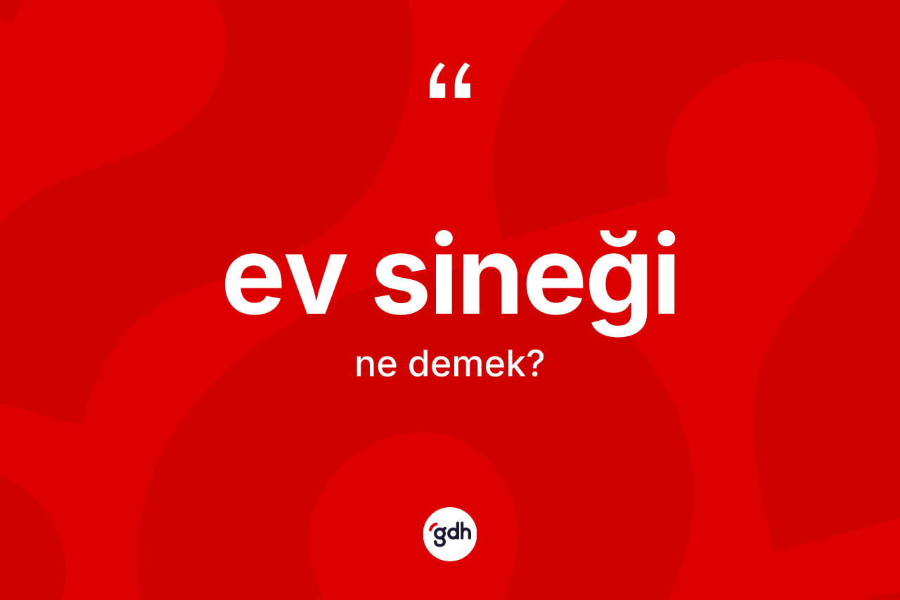 Ev sineği kelimesi nedir? Ev sineğinin TDK'ya göre anlamı nedir?