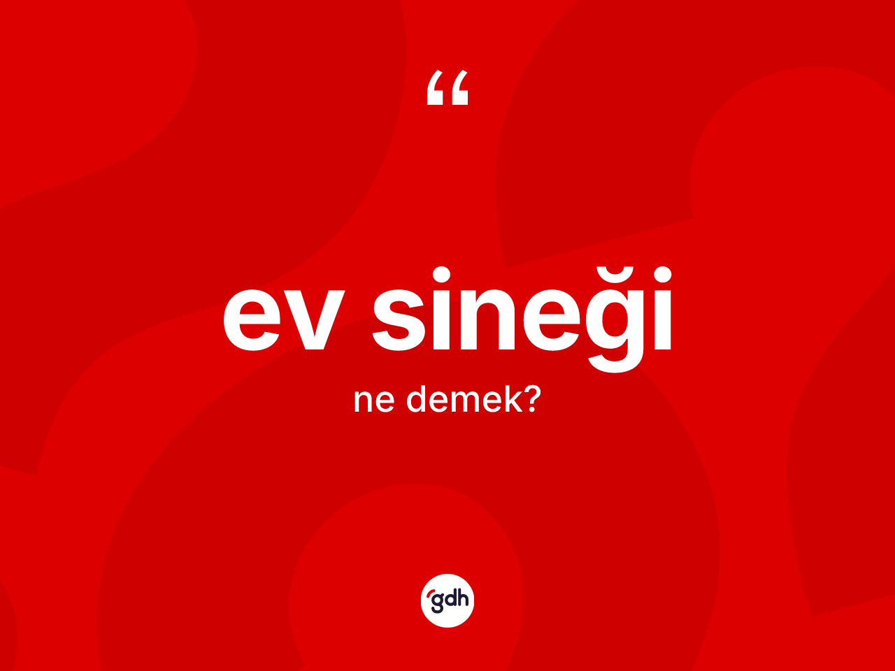 Ev sineği kelimesi nedir? Ev sineğinin TDK'ya göre anlamı nedir?