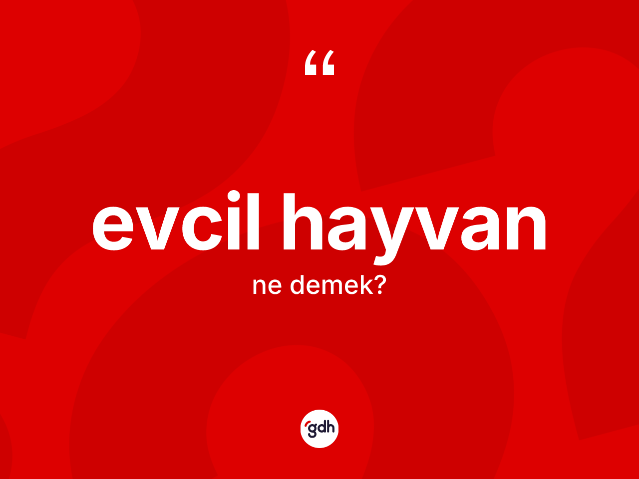 Evcil hayvan kelimesi nedir? Evcil hayvanın TDK'ya göre anlamı nedir?