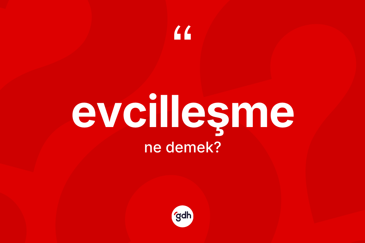 Evcilleşme kelimesinin anlamı nedir? Evcilleşme kelimesinin kaç farklı anlamı var?