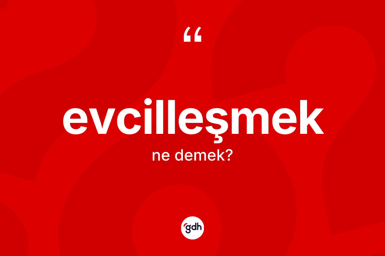Evcilleşmek kelimesi ne demek? Evcilleşmeğin kısaca tanımı nedir?