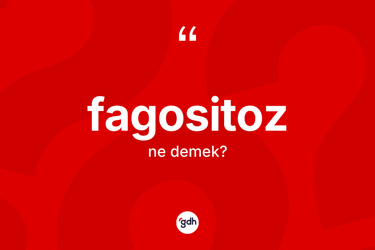 Fagositoz kelimesinin anlamı nedir? Fagositozun TDK'ya göre anlamı nedir?