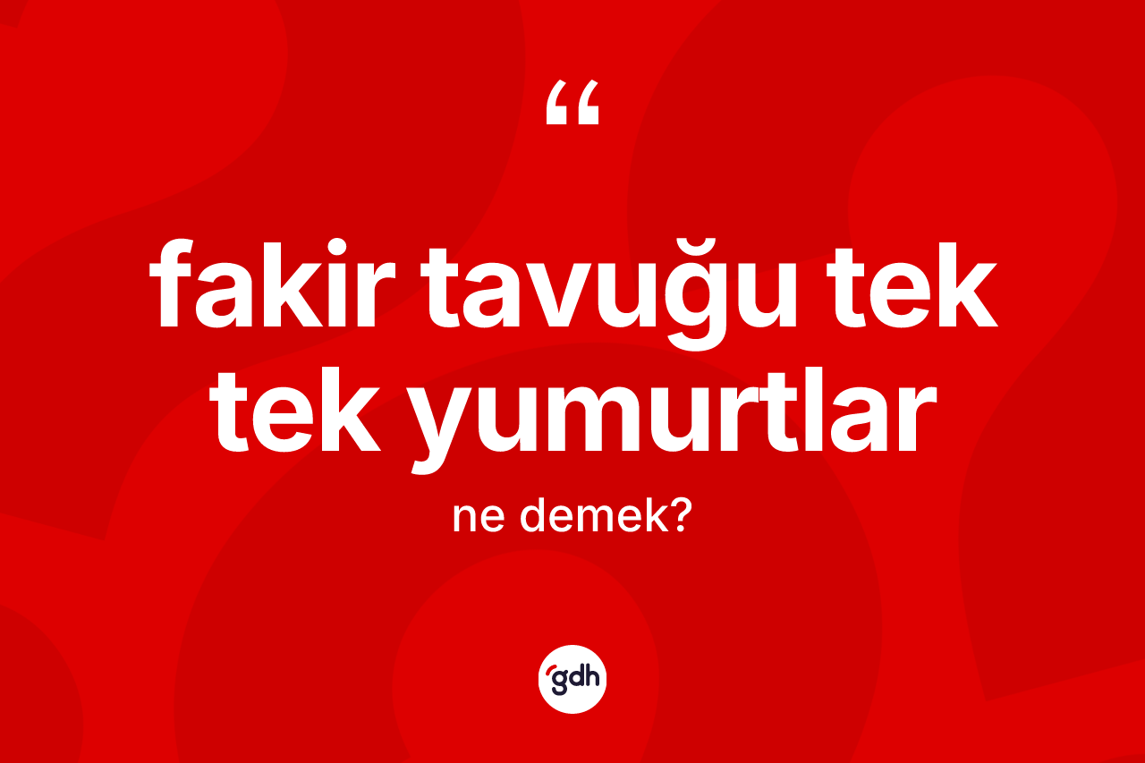 Fakir tavuğu tek tek yumurtlar ne demektir? Fakir tavuğu tek tek yumurtlar ifadesinin TDK'ya göre açıklaması nedir?