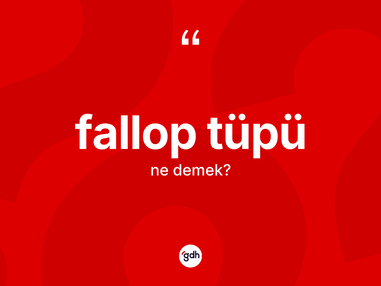 Fallop tüpü kelimesinin sözlükteki tanımı nedir? Fallop tüpü kelimesinin kaç farklı anlamı var?
