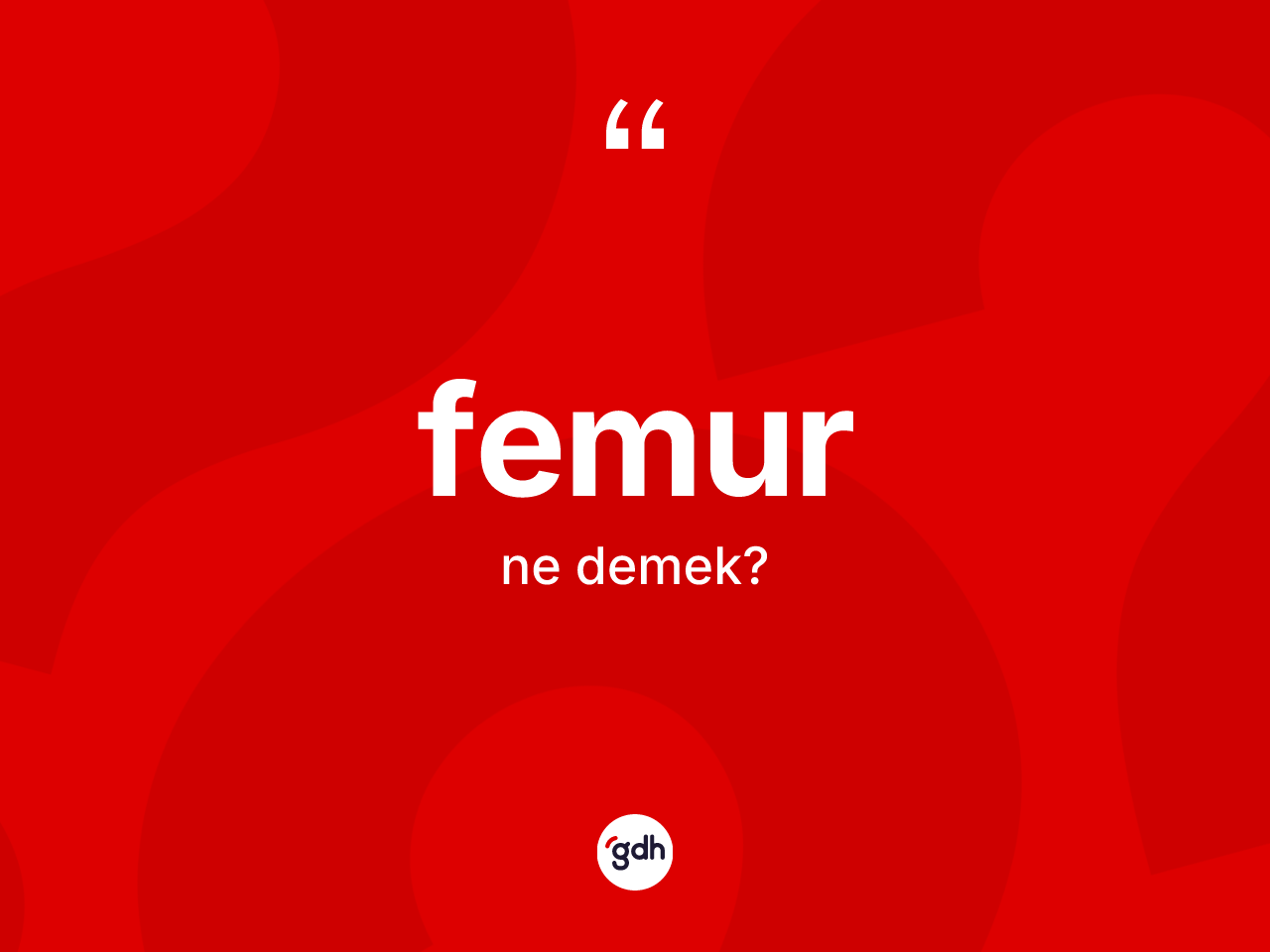 Femur ne anlama gelir? Femur kelimesinin kaç farklı anlamı var?