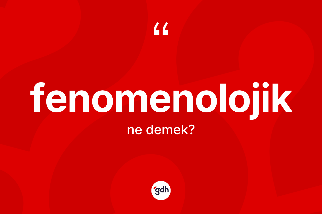 Fenomenolojik kelimesinin tanımı nedir?