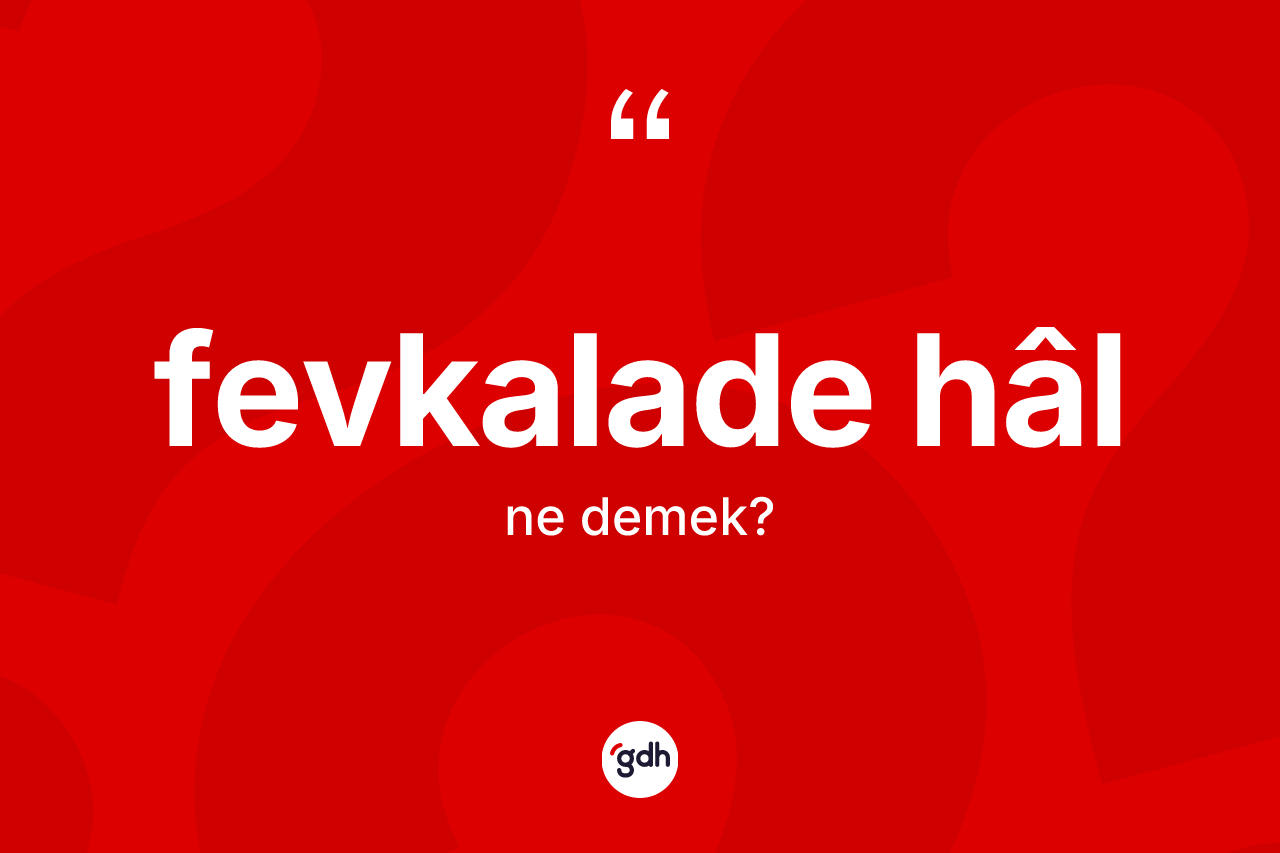 Fevkalade hâl kelimesinin sözlükteki tanımı nedir? Fevkalade hâlin TDK'ya göre anlamı nedir?