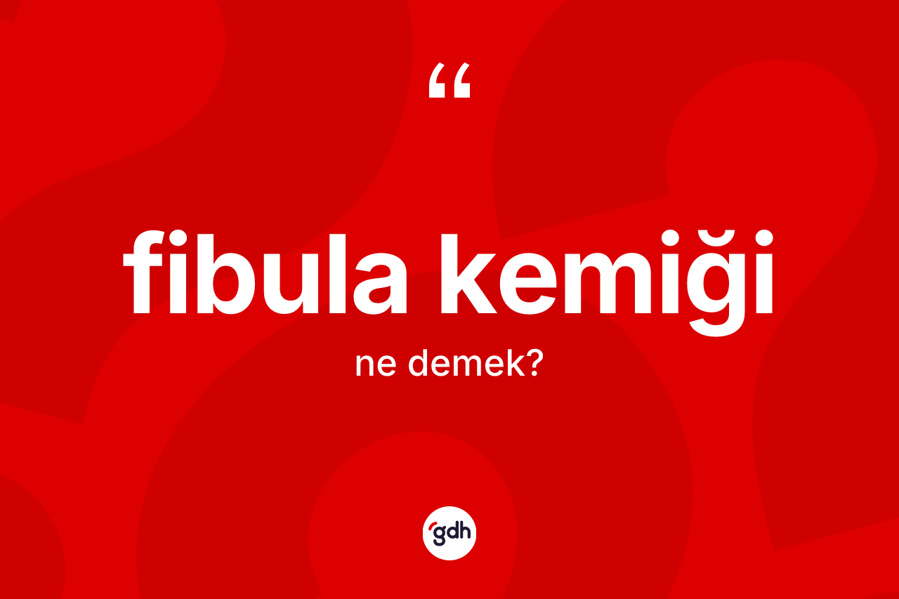 Fibula kemiği kelimesi ne anlama gelir? Fibula kemiğinin kısaca tanımı nedir?