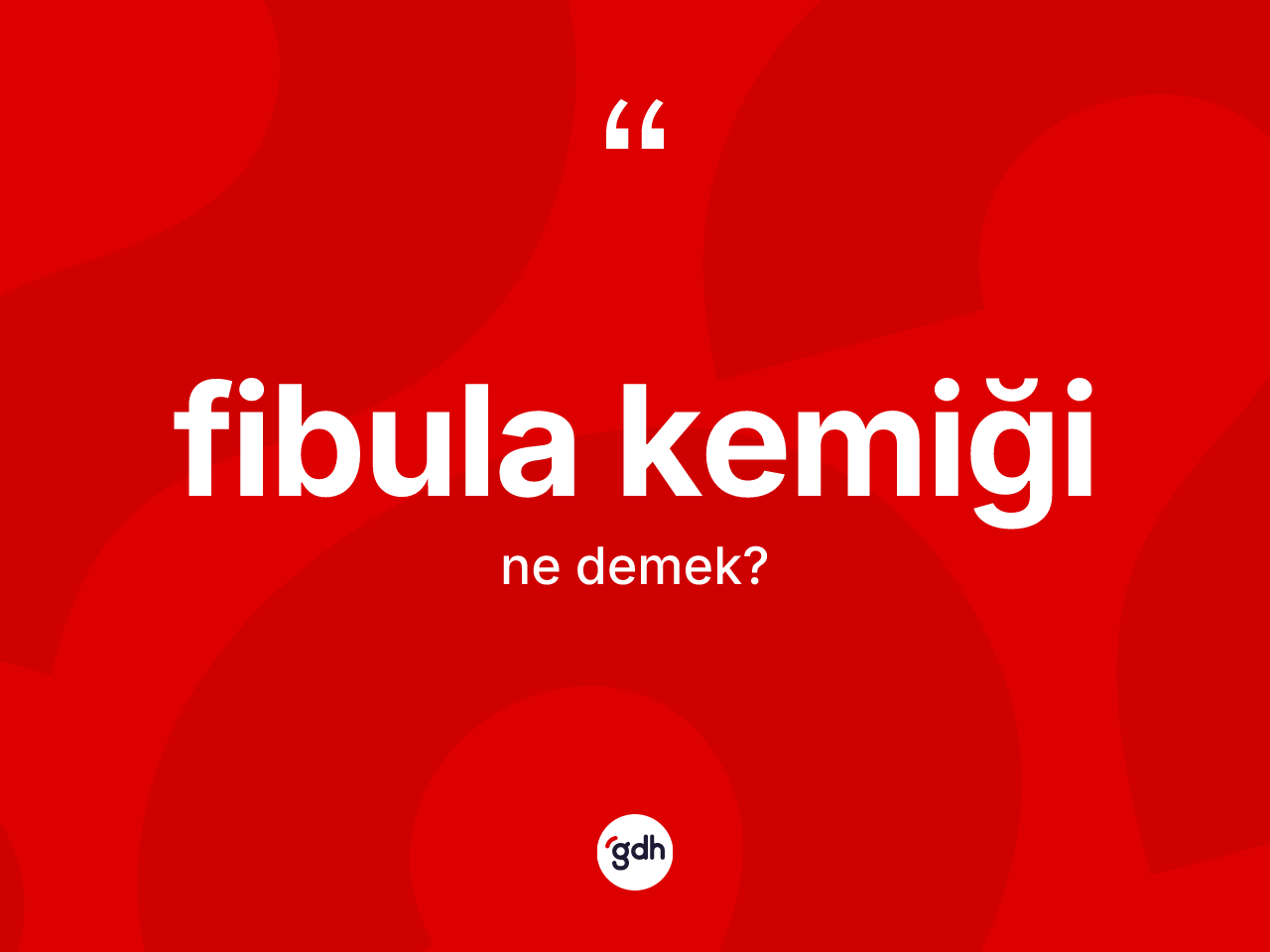 Fibula kemiği kelimesi ne anlama gelir? Fibula kemiğinin kısaca tanımı nedir?