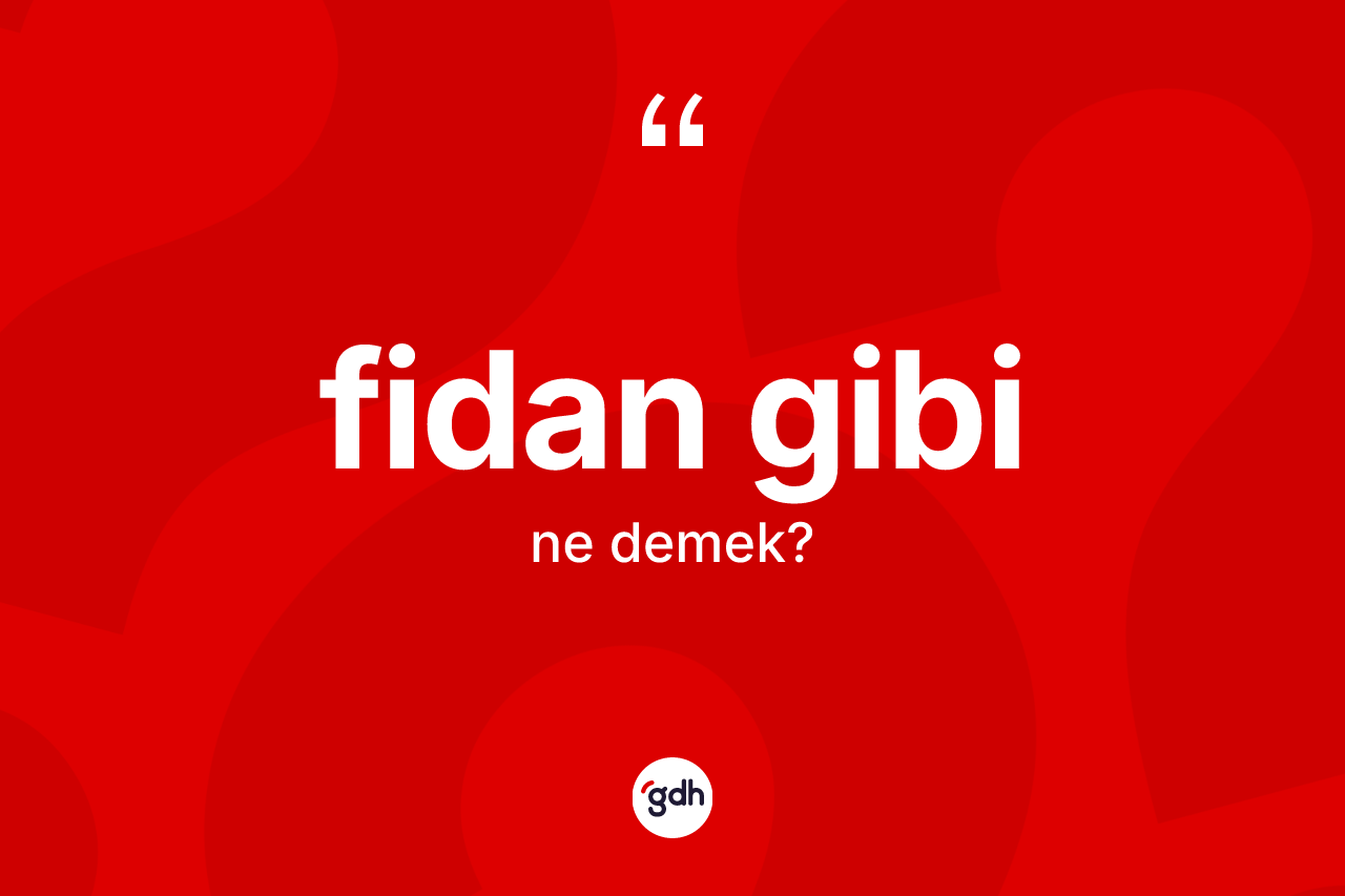 Fidan gibi ne demektir? Fidan gibi ifadesinin TDK'ya göre anlamı nedir?