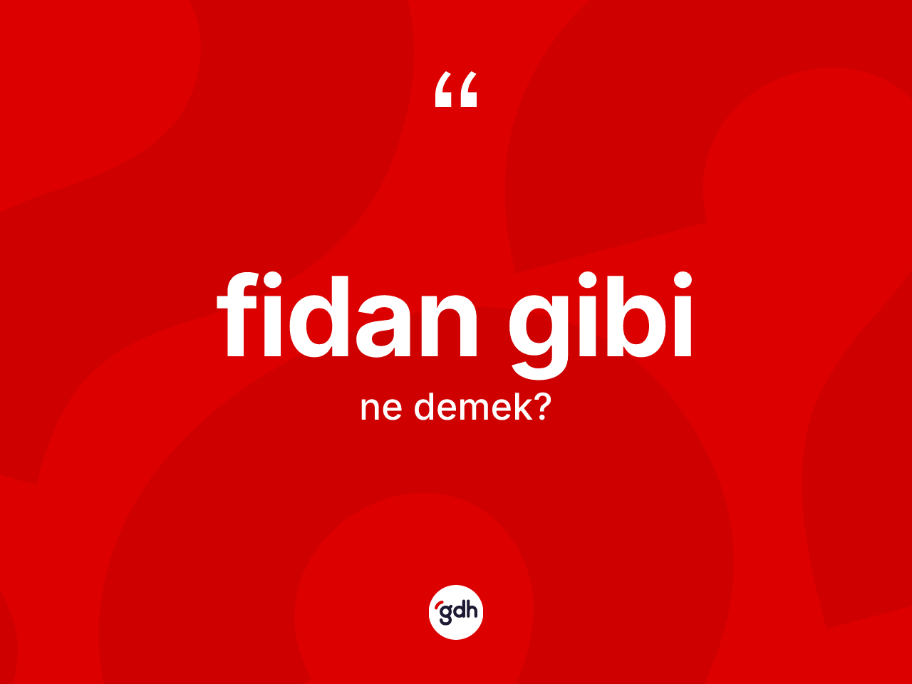 Fidan gibi ne demektir? Fidan gibi ifadesinin TDK'ya göre anlamı nedir?