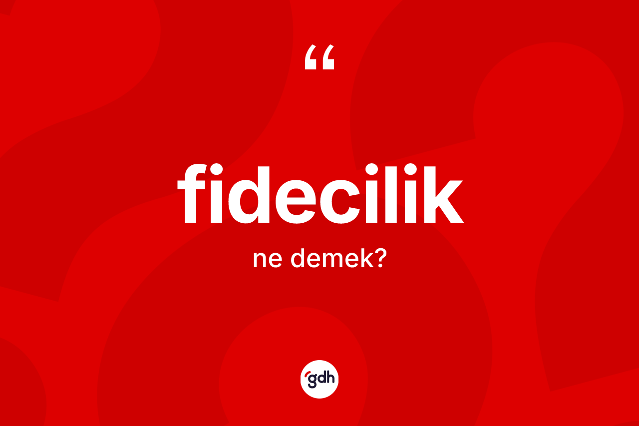 Fidecilik kelimesinin tanımı nedir? Fidecilik kelimesinin kaç farklı anlamı var?