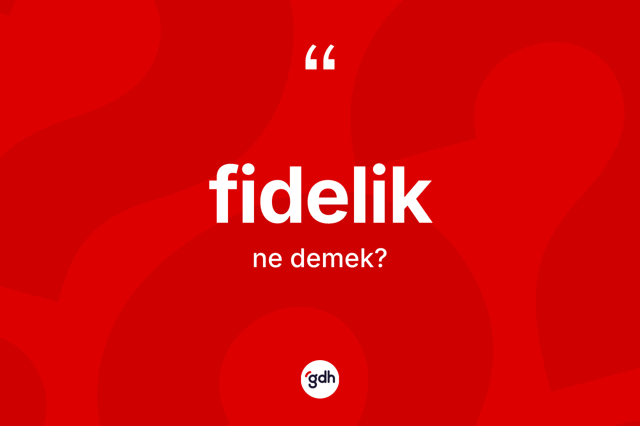 Fidelik kelimesi nedir? Fidelik kelimesinin TDK'ya göre açıklaması nedir?