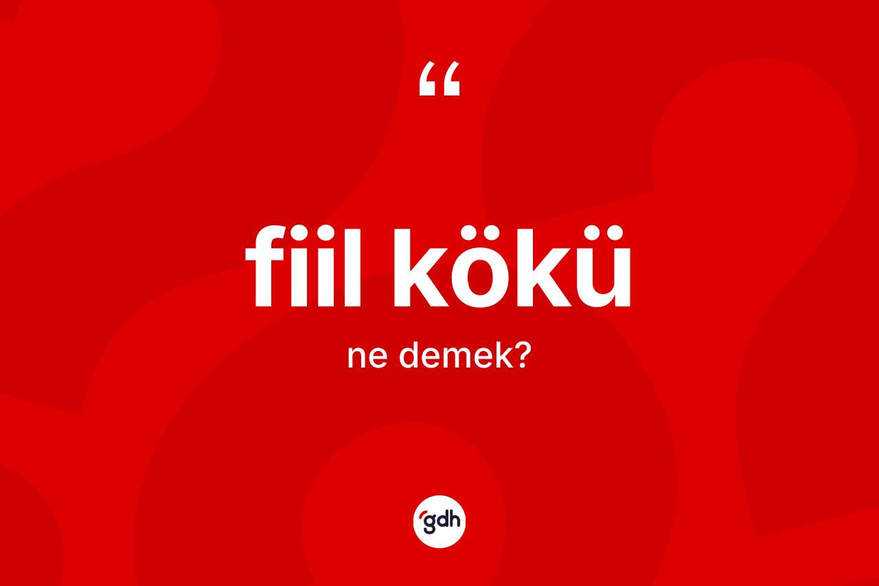 Fiil kökü kelimesi nedir?