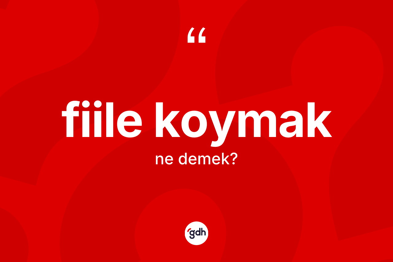 Fiile koymak ifadesinin tanımı nedir?