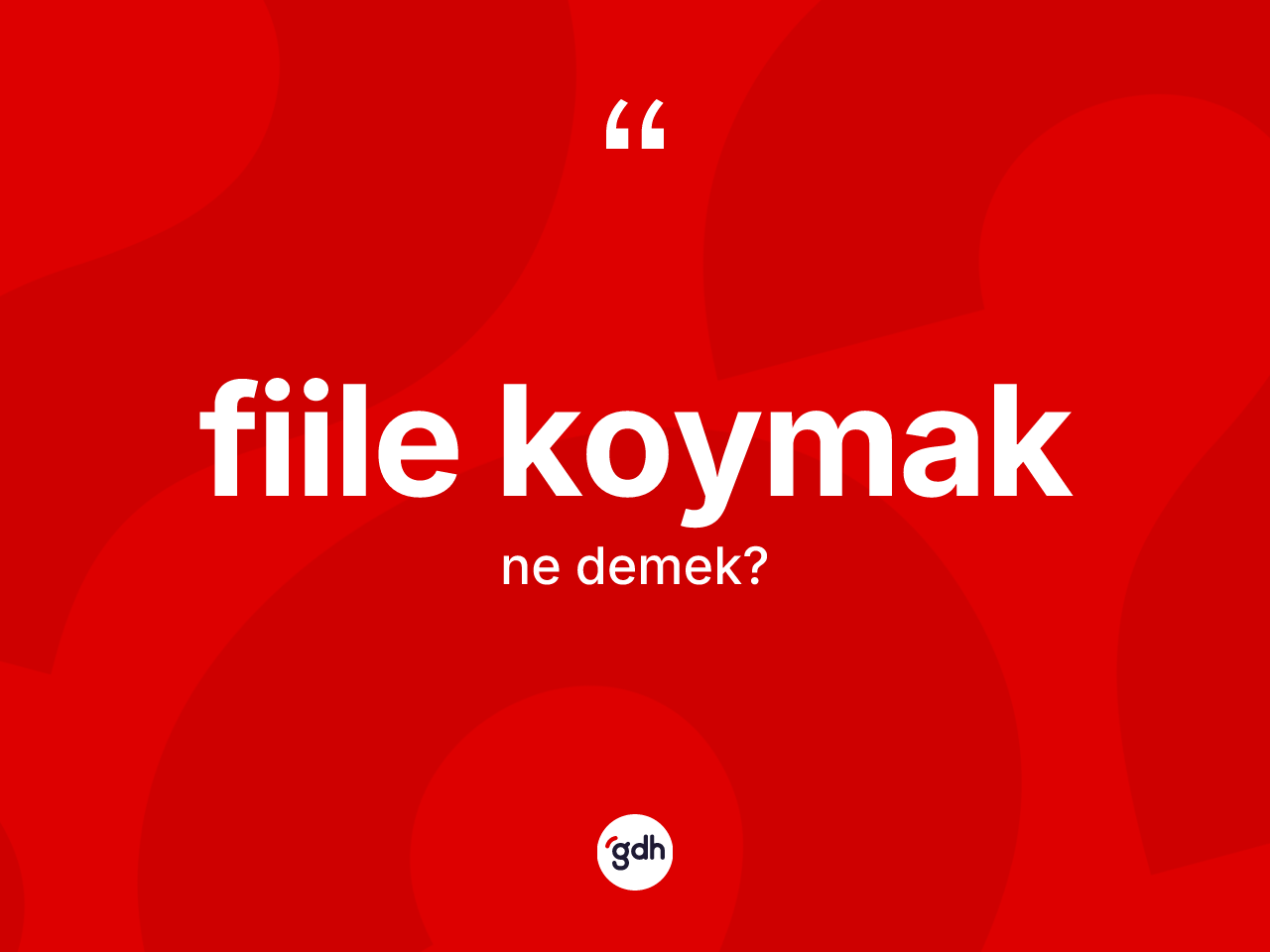 Fiile koymak ifadesinin tanımı nedir? Fiile koymak ifadesinin sözlük anlamı nedir?