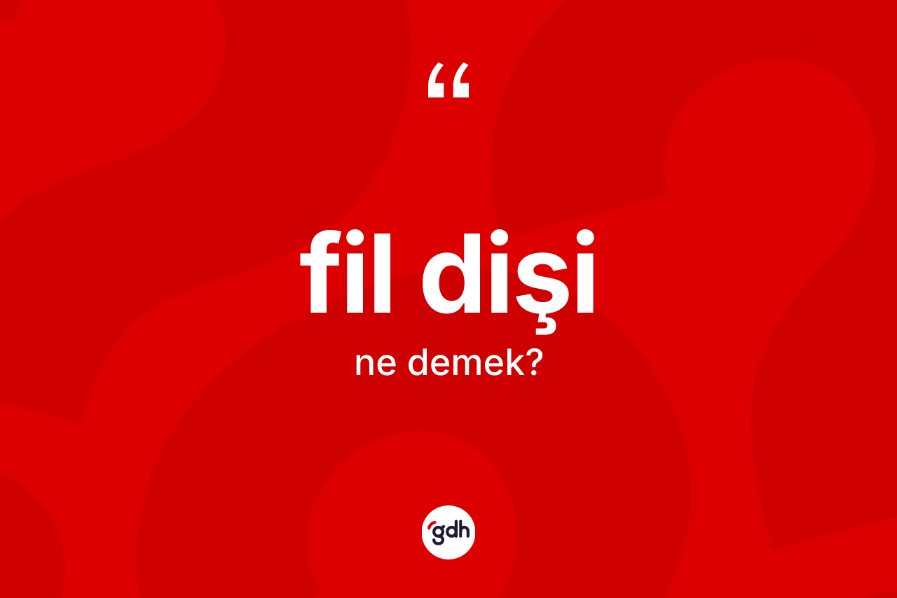 Fil dişi ne demek?