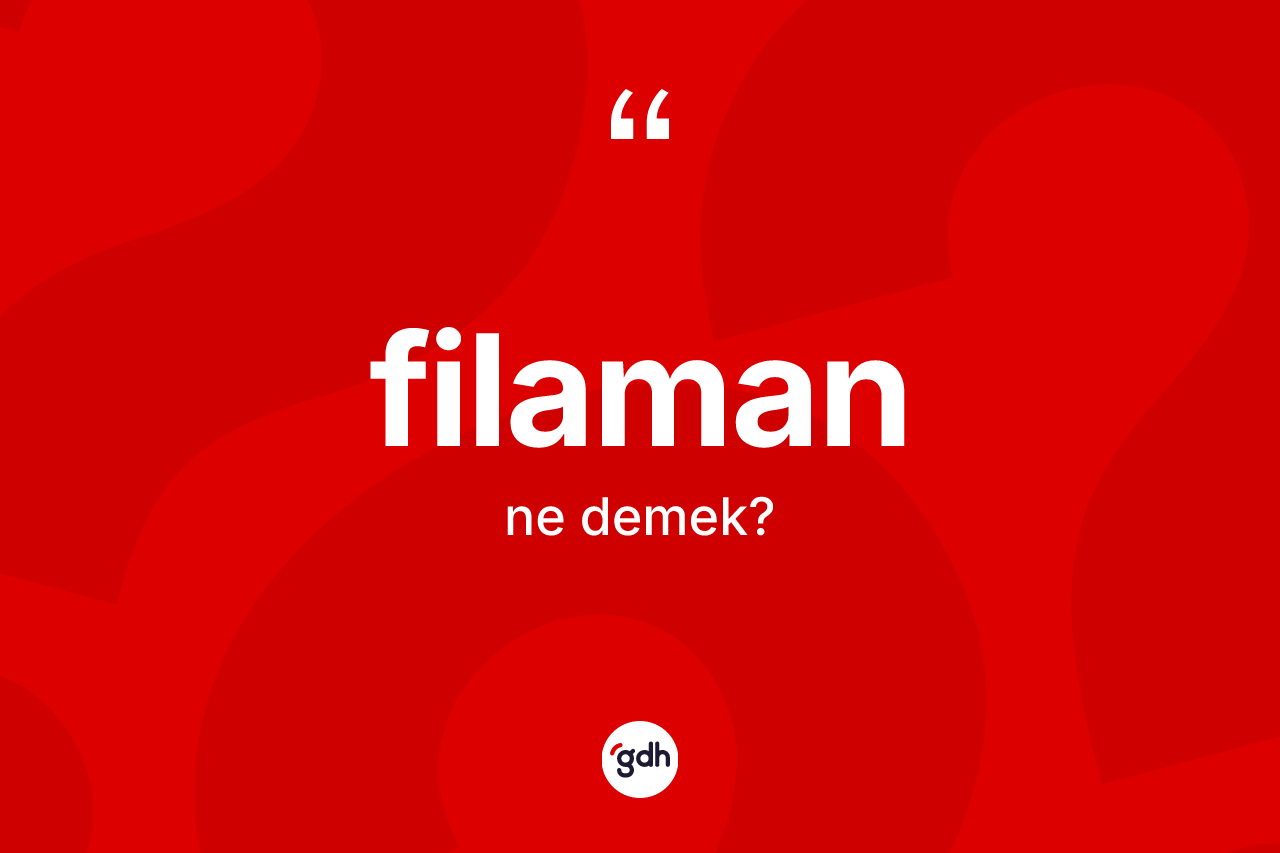 Filaman kelimesinin tanımı nedir? Filamanın TDK'ya göre anlamı nedir?