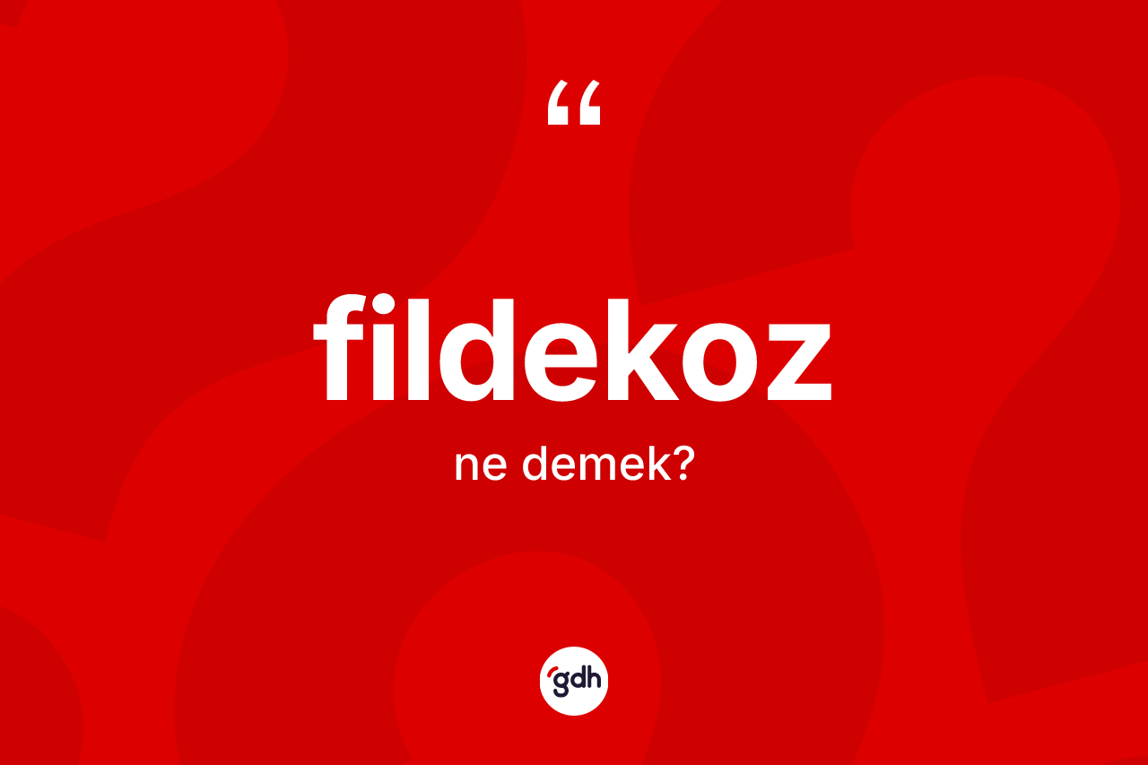 Fildekoz kelimesi ne anlama gelir? Fildekozun TDK'ya göre anlamı nedir?