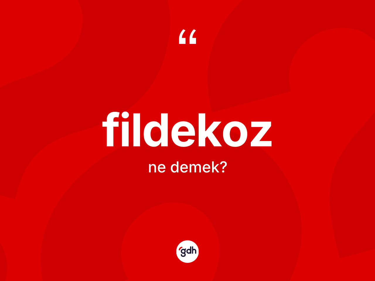 Fildekoz kelimesi ne anlama gelir? Fildekozun TDK'ya göre anlamı nedir?