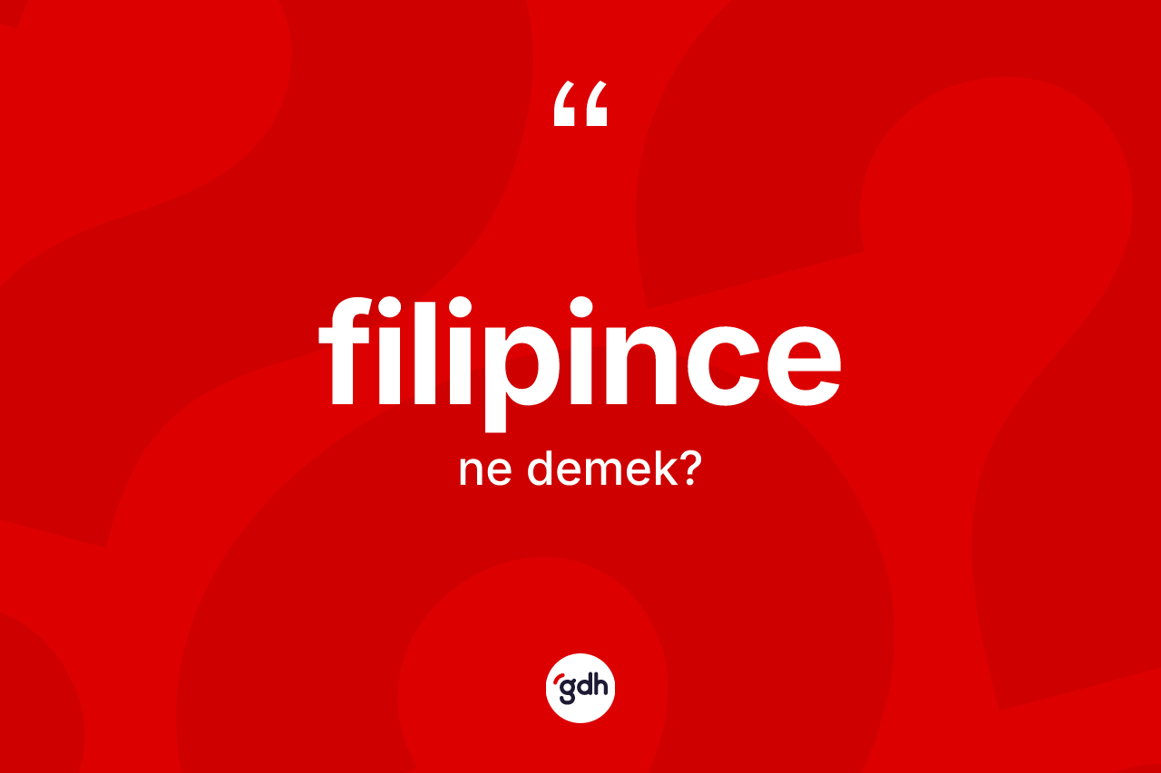 Filipince kelimesi ne demek? Filipince kelimesinin kaç farklı anlamı var?