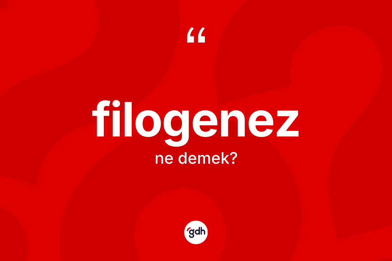 Filogenez kelimesinin anlamı nedir?