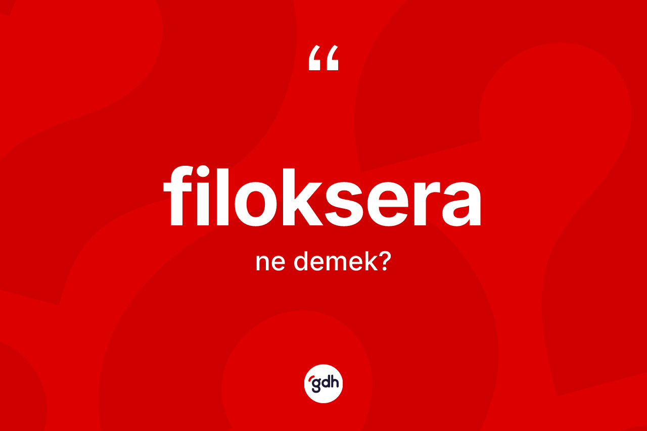 Filoksera kelimesinin anlamı nedir?
