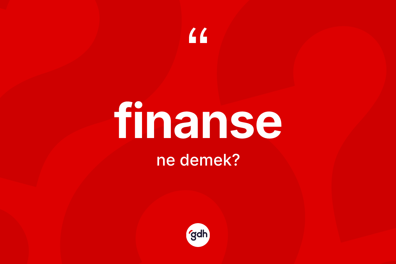 Finanse ne anlama gelir?