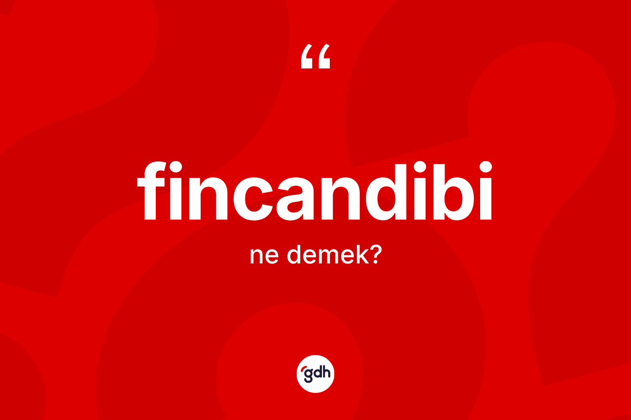 Fincandibi ne demek? Fincandibinin TDK'ya göre anlamı nedir?