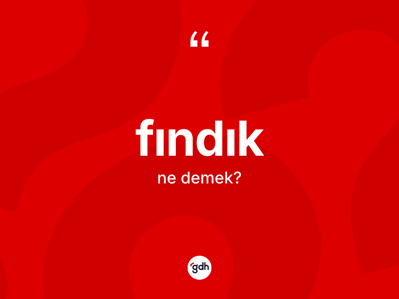 Fındık kelimesi ne demek? Fındığın kısaca tanımı nedir?